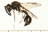  ( - 08BBHYM-0743)  @13 [ ] CreativeCommons - Attribution (2009) Unspecified Centre for Biodiversity Genomics