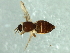  ( - 08TTML-1311)  @13 [ ] CreativeCommons - Attribution (2010) CBG Photography Group Centre for Biodiversity Genomics
