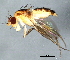  ( - 08TTML-1329)  @13 [ ] CreativeCommons - Attribution (2010) CBG Photography Group Centre for Biodiversity Genomics