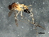  ( - 08TTML-1355)  @12 [ ] CreativeCommons - Attribution (2010) CBG Photography Group Centre for Biodiversity Genomics