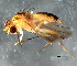  ( - 08TTML-1357)  @13 [ ] CreativeCommons - Attribution (2010) CBG Photography Group Centre for Biodiversity Genomics