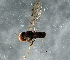  ( - 08TTML-1364)  @12 [ ] CreativeCommons - Attribution (2010) CBG Photography Group Centre for Biodiversity Genomics