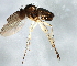  ( - 08TTML-1417)  @12 [ ] CreativeCommons - Attribution (2010) CBG Photography Group Centre for Biodiversity Genomics