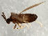  ( - 08TTML-1442)  @12 [ ] CreativeCommons - Attribution (2010) CBG Photography Group Centre for Biodiversity Genomics