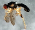  ( - 08TTML-1534)  @14 [ ] CreativeCommons - Attribution (2010) CBG Photography Group Centre for Biodiversity Genomics
