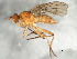  ( - 08TTML-1550)  @13 [ ] CreativeCommons - Attribution (2010) CBG Photography Group Centre for Biodiversity Genomics