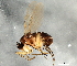  ( - 08TTML-1586)  @13 [ ] CreativeCommons - Attribution (2010) CBG Photography Group Centre for Biodiversity Genomics