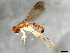  ( - 08TTML-1601)  @12 [ ] CreativeCommons - Attribution (2010) CBG Photography Group Centre for Biodiversity Genomics