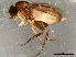  ( - 08TTML-1621)  @13 [ ] CreativeCommons - Attribution (2010) CBG Photography Group Centre for Biodiversity Genomics