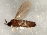  ( - 08TTML-1626)  @14 [ ] CreativeCommons - Attribution (2010) CBG Photography Group Centre for Biodiversity Genomics