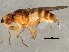  ( - 08TTML-1632)  @12 [ ] CreativeCommons - Attribution (2010) CBG Photography Group Centre for Biodiversity Genomics