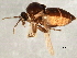  ( - 08TTML-1636)  @13 [ ] CreativeCommons - Attribution (2010) CBG Photography Group Centre for Biodiversity Genomics