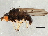  ( - 08TTML-1683)  @14 [ ] CreativeCommons - Attribution (2010) CBG Photography Group Centre for Biodiversity Genomics