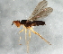  ( - 08TTML-1749)  @13 [ ] CreativeCommons - Attribution (2010) CBG Photography Group Centre for Biodiversity Genomics