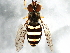  ( - 08TTML-1754)  @14 [ ] CreativeCommons - Attribution (2010) CBG Photography Group Centre for Biodiversity Genomics