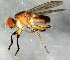  ( - 08TTML-1762)  @12 [ ] CreativeCommons - Attribution (2010) CBG Photography Group Centre for Biodiversity Genomics