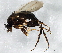  ( - 08TTML-1788)  @13 [ ] CreativeCommons - Attribution (2010) CBG Photography Group Centre for Biodiversity Genomics