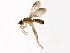  ( - 08TTML-1756)  @12 [ ] CreativeCommons - Attribution (2010) CBG Photography Group Centre for Biodiversity Genomics
