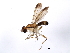  ( - 08TTML-1769)  @13 [ ] CreativeCommons - Attribution (2010) CBG Photography Group Centre for Biodiversity Genomics