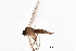  ( - 08TTML-0764)  @12 [ ] CreativeCommons - Attribution (2010) CBG Photography Group Centre for Biodiversity Genomics