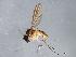  ( - 08TTML-0816)  @13 [ ] CreativeCommons - Attribution (2010) CBG Photography Group Centre for Biodiversity Genomics