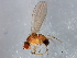  ( - 08TTML-0820)  @13 [ ] CreativeCommons - Attribution (2010) CBG Photography Group Centre for Biodiversity Genomics