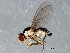  ( - 08TTML-0830)  @13 [ ] CreativeCommons - Attribution (2010) CBG Photography Group Centre for Biodiversity Genomics