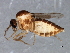  ( - 08TTML-1211)  @13 [ ] CreativeCommons - Attribution (2010) CBG Photography Group Centre for Biodiversity Genomics
