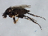  ( - 08TTML-1056)  @13 [ ] CreativeCommons - Attribution (2010) CBG Photography Group Centre for Biodiversity Genomics