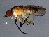  ( - 08TTML-1075)  @12 [ ] CreativeCommons - Attribution (2010) CBG Photography Group Centre for Biodiversity Genomics