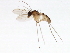  ( - 08TTML-1102)  @12 [ ] CreativeCommons - Attribution (2010) CBG Photography Group Centre for Biodiversity Genomics