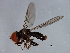  ( - 08TTML-1122)  @14 [ ] CreativeCommons - Attribution (2010) CBG Photography Group Centre for Biodiversity Genomics
