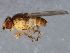  ( - 08TTML-1027)  @13 [ ] CreativeCommons - Attribution (2010) CBG Photography Group Centre for Biodiversity Genomics