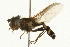  ( - 08TTML-0712)  @13 [ ] CreativeCommons - Attribution (2009) Unspecified Centre for Biodiversity Genomics