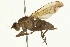  ( - 08TTML-0719)  @14 [ ] CreativeCommons - Attribution (2009) Unspecified Centre for Biodiversity Genomics