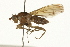  ( - 08TTML-0743)  @14 [ ] CreativeCommons - Attribution (2009) Unspecified Centre for Biodiversity Genomics