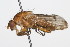  ( - 08TTML-0604)  @13 [ ] CreativeCommons - Attribution (2009) Unspecified Centre for Biodiversity Genomics