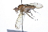  ( - 08TTML-0607)  @14 [ ] CreativeCommons - Attribution (2009) Unspecified Centre for Biodiversity Genomics
