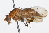  ( - 08TTML-0616)  @14 [ ] CreativeCommons - Attribution (2009) Unspecified Centre for Biodiversity Genomics
