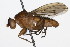  ( - 08TTML-0628)  @14 [ ] CreativeCommons - Attribution (2009) Unspecified Centre for Biodiversity Genomics