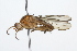  ( - 08TTML-0635)  @13 [ ] CreativeCommons - Attribution (2009) Unspecified Centre for Biodiversity Genomics