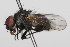  ( - 08TTML-0665)  @13 [ ] CreativeCommons - Attribution (2009) Unspecified Centre for Biodiversity Genomics