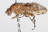 ( - 08TTML-0671)  @13 [ ] CreativeCommons - Attribution (2009) Unspecified Centre for Biodiversity Genomics