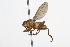  ( - 08TTML-0675)  @13 [ ] CreativeCommons - Attribution (2009) Unspecified Centre for Biodiversity Genomics