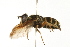  ( - 08TTML-0555)  @14 [ ] CreativeCommons - Attribution (2009) Unspecified Centre for Biodiversity Genomics