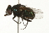  ( - 08TTML-0572)  @12 [ ] CreativeCommons - Attribution (2009) Unspecified Centre for Biodiversity Genomics