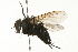  ( - 08TTML-0579)  @12 [ ] CreativeCommons - Attribution (2009) Unspecified Centre for Biodiversity Genomics