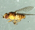  ( - 08TTML-1235)  @13 [ ] CreativeCommons - Attribution (2010) CBG Photography Group Centre for Biodiversity Genomics