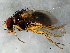  ( - 08TTML-1922)  @14 [ ] CreativeCommons - Attribution (2010) CBG Photography Group Centre for Biodiversity Genomics