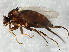  ( - 08TTML-1943)  @13 [ ] CreativeCommons - Attribution (2010) CBG Photography Group Centre for Biodiversity Genomics
